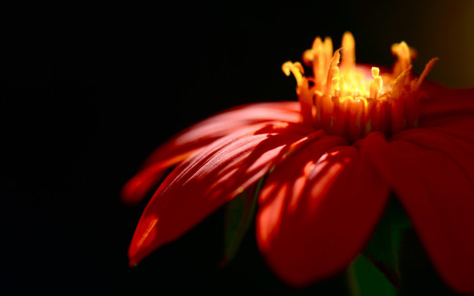 491089 (a): :2560x1600
